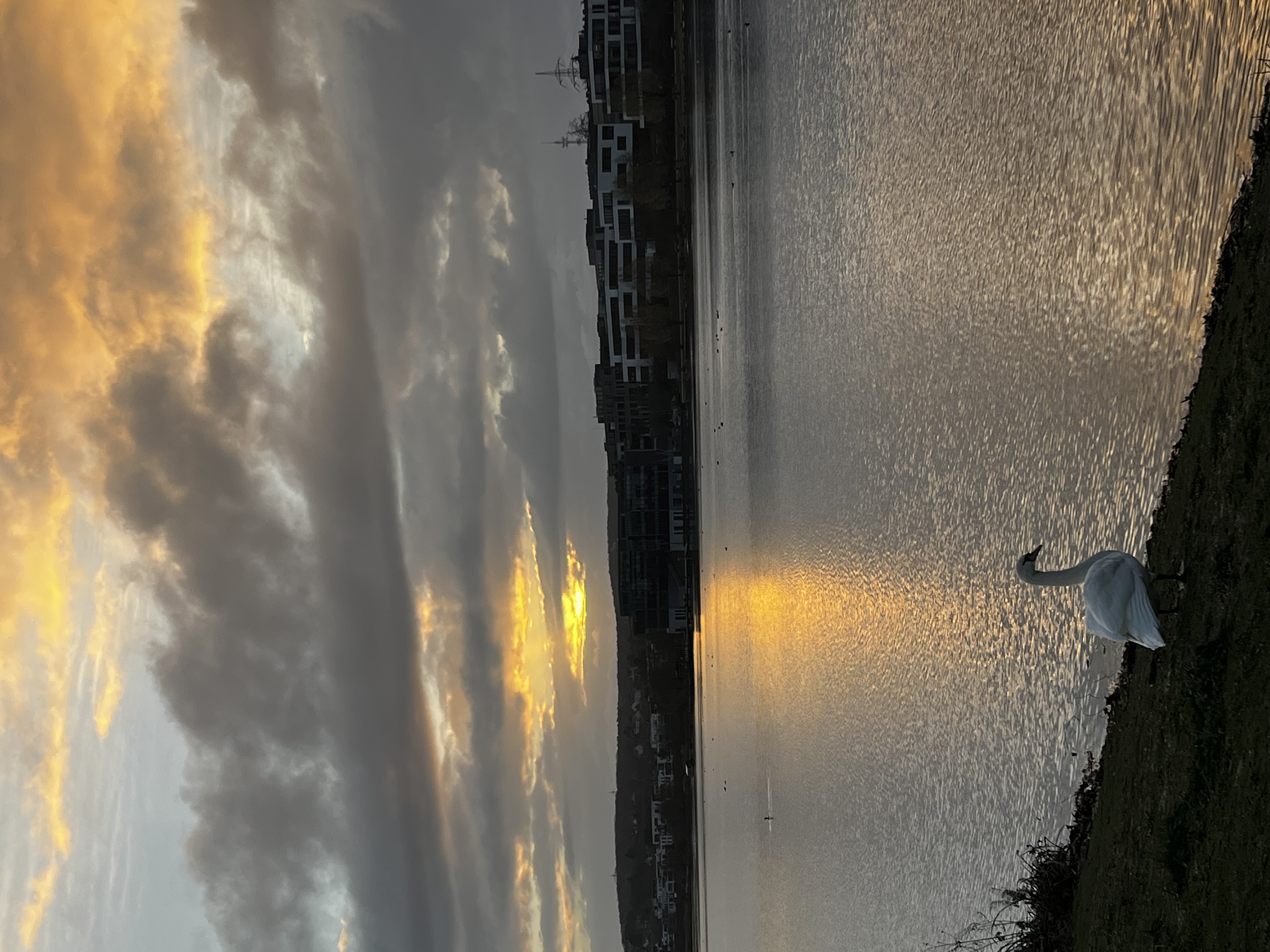 Blog Bild